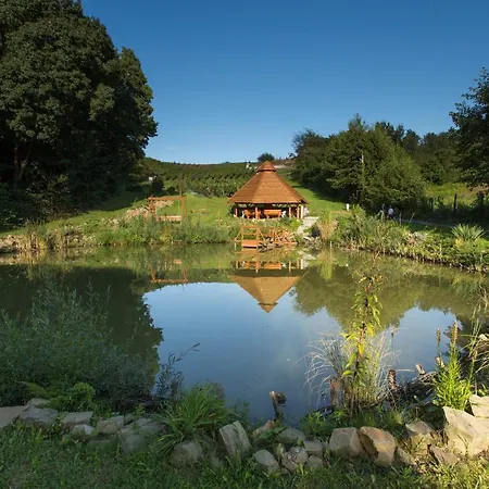 Dabrowka W Winiarni Tatil Evi *