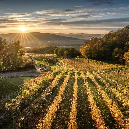 Dabrowka W Winiarni * Dabrowka Szczepanowska