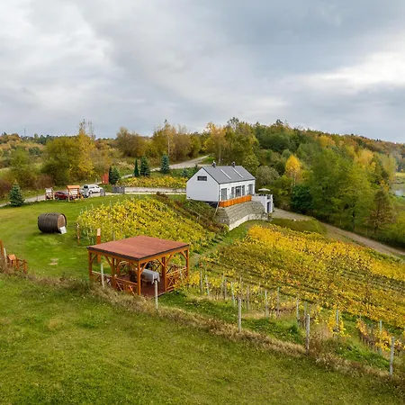 Dabrowka W Winiarni Tatil Evi Dabrowka Szczepanowska
