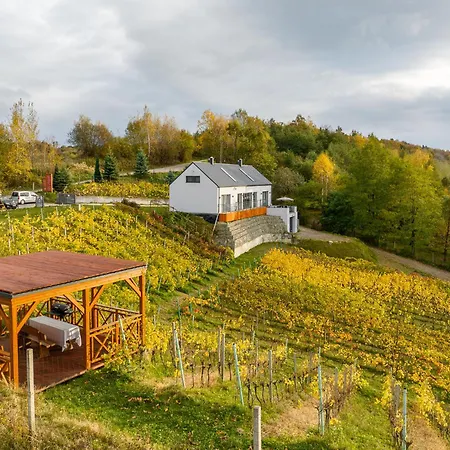 Dabrowka W Winiarni Tatil Evi