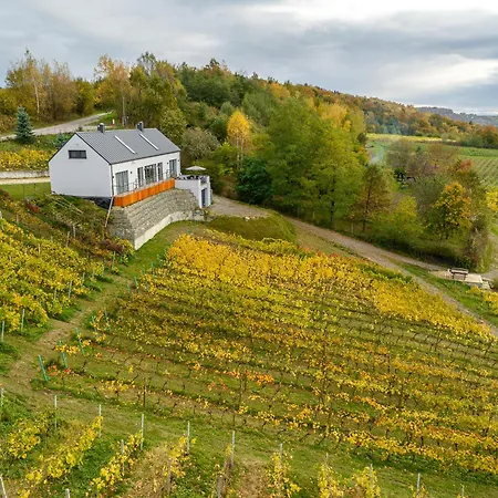 Dabrowka W Winiarni *